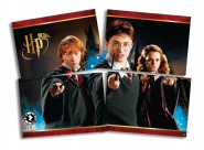 PAINEL DECORATIVO HARRY POTTER PAPEL/4 FIGURAS 104927 1UN 128x90cm
